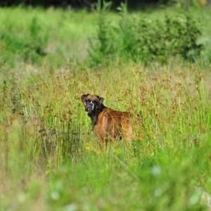 Meet your Posher, Kendria